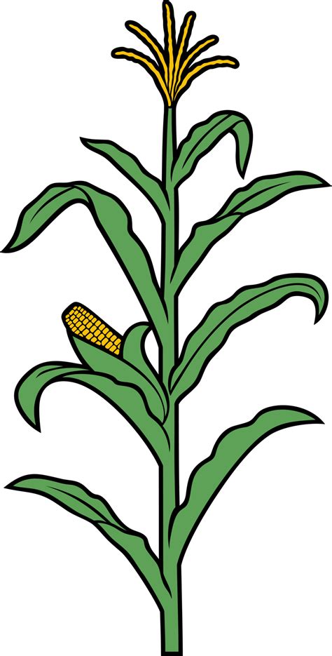 Cornstalk clip art - Corn Stalks Png Clip Art Royalty Free Download - Corn Stalk Png. 400*400. 5. 2. PNG. ... Cornstalk Stencil For Classroom / Therapy Clipart - Corn Stalk. 380*380. 5. 1. PNG. And Pumpkins Coloring Page - Corn Clipart Black And White. 476*333. 6. 1. PNG. Viewing Gallery For Corn Stalk Coloring Pages 127743 - Corn Field Coloring Page.